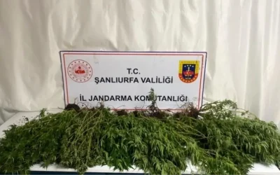 Şanlıurfa’da Jandarma Operasyonu: Uyuşturucu ve Silahlar Yakalandı