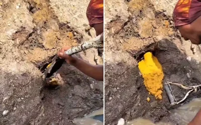Altın Akıyor Küreğin Vuruşundan: Şansın Böylesi