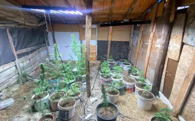 Kuşadası’nda Uyuşturucu Üreticisi 2 Kişi Tutuklandı