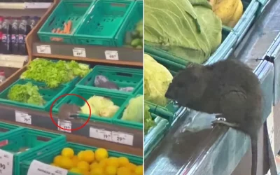 3 Harfli Markette Skandal!