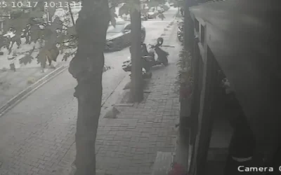 Kedi Besleyen İşçiye Saldırı: Hayvansever İşçiye Şiddet