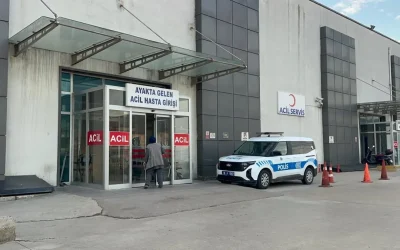 İznik’te Zeytin Hasadı Sırasında Tavuk Pilavı Skandalı