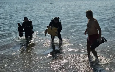 Antalya’da Yaralı Deniz Kaplumbağası Kurtarıldı