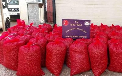 Bursa’da Hırsızlık Olayında İki Zanlı Tutuklandı