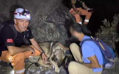 Datça’da Kırsalda Mahsur Kalan Yürüyüşçü 4 Saat Sonra Kurtarıldı