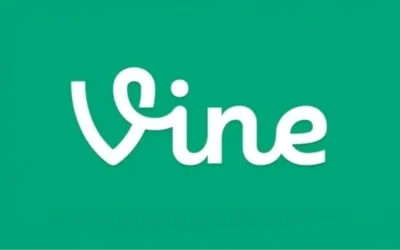 Vine Geri Dönüş Tarihi Merak Ediliyor