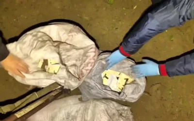 Hatay’da 625 Bin Uyuşturucu Hap Yakalandı