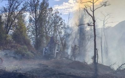 Artvin’deki Orman Yangını Başarıyla Söndürüldü