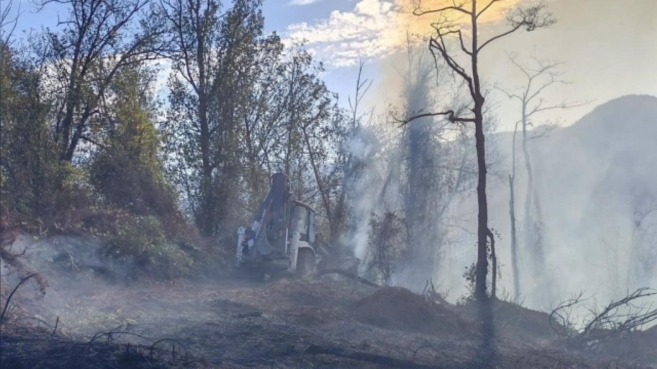 Artvin'deki Orman Yangını Başarıyla Söndürüldü