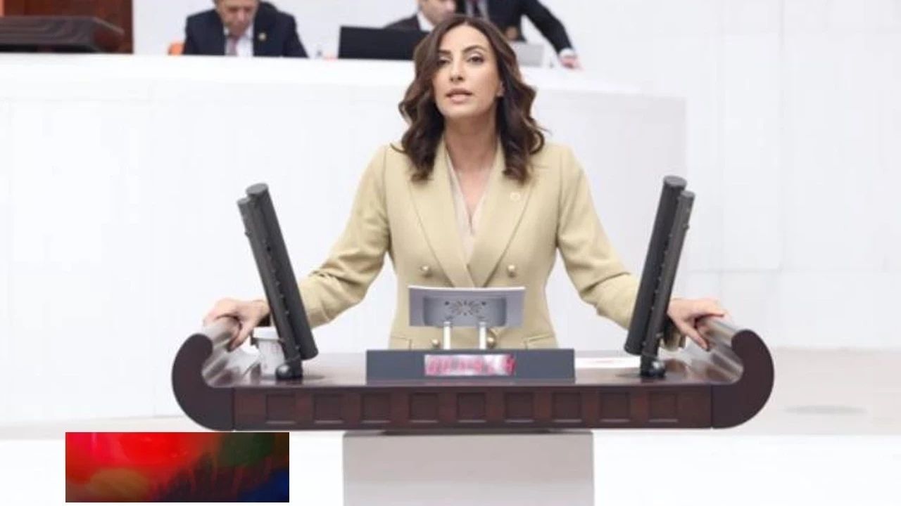 CHP’li Evrim Rızvanoğlu’ndan Çevre ve İklim Bütçesine Sert Eleştiri