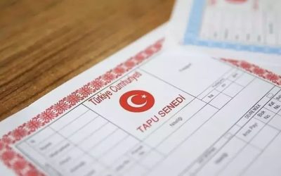 Tapuda dijital dönem başladı: Vekaletler artık e-Devlet’ten takip edilebilecek