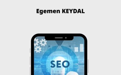 Ücretsiz SEO Aracı Egemen Keydal Tarafından Web Site Analizi İçin Kullanıma Sunuldu