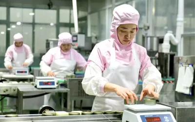 Caoxian İli, Evcil Hayvan Ekonomisinde Öncü Konumunu Güçlendiriyor