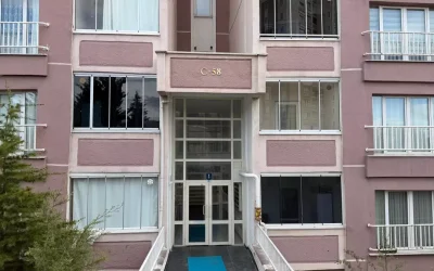 Pitbull Sahibini Buldu: Kardeşlere Saldırdı