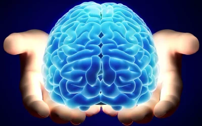 Nörologların belirlediği 6 zararlı beyin gıdası