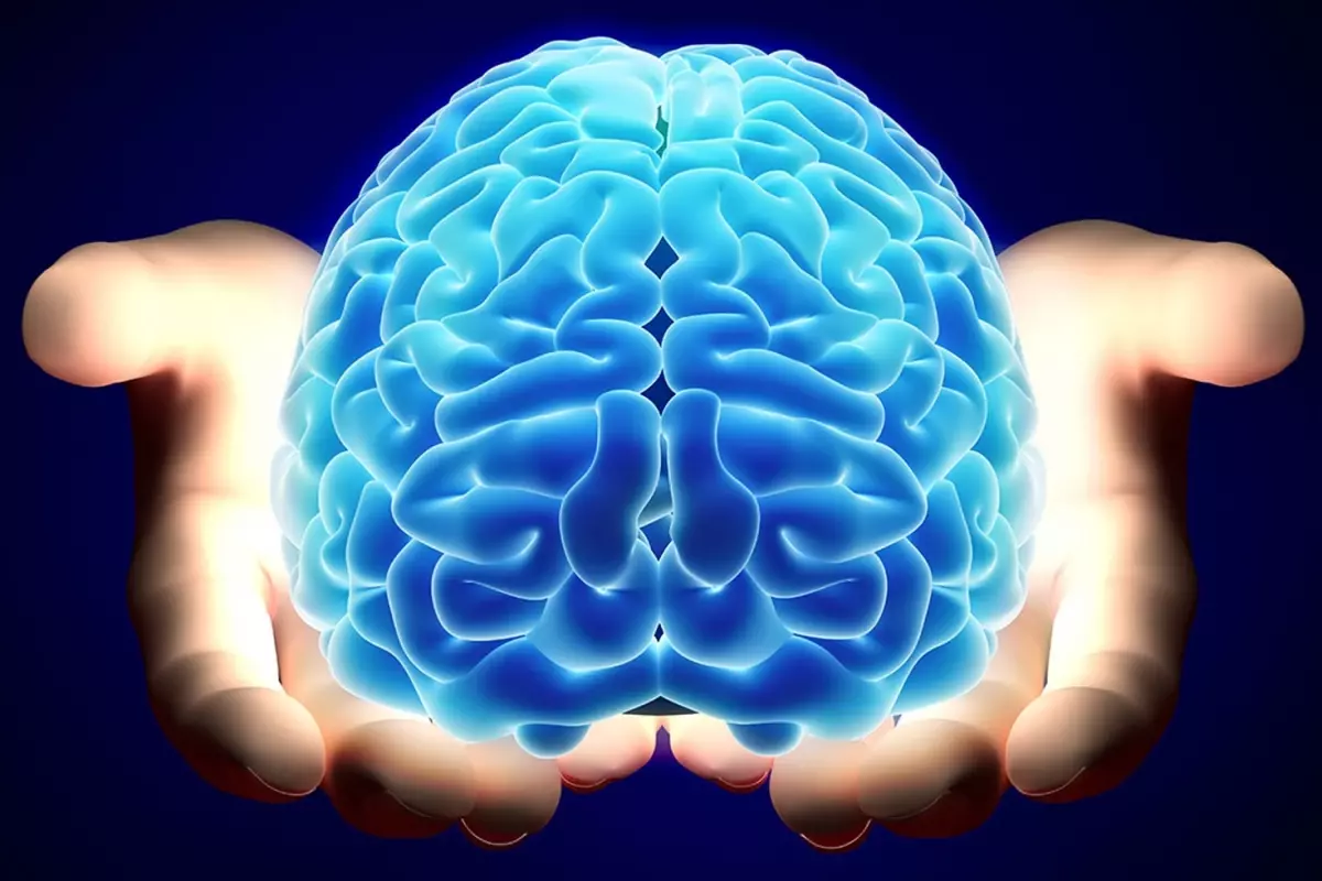 norologlar-beyin-icin-en-zararli-6-gidayi-acikladi-19333660_5588_amp.jpg